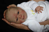 Merle 20" (Jannie de Lange)***